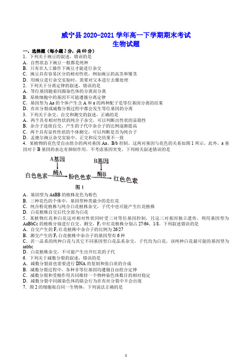 威宁县2020-2021学年高一下学期期末考试 生物试题(含答案)