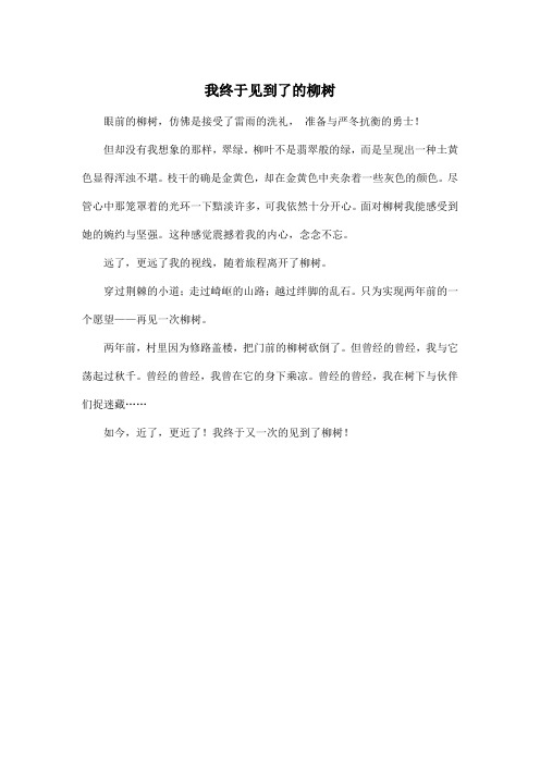 我终于见到了的柳树_初中初一作文300字