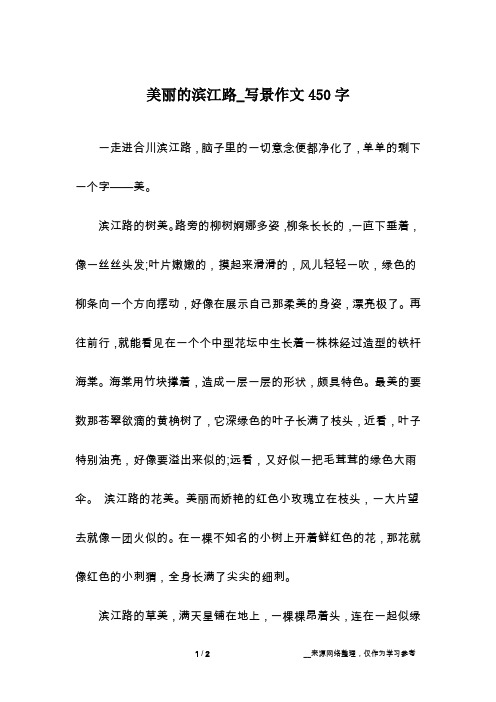 美丽的滨江路_写景作文450字