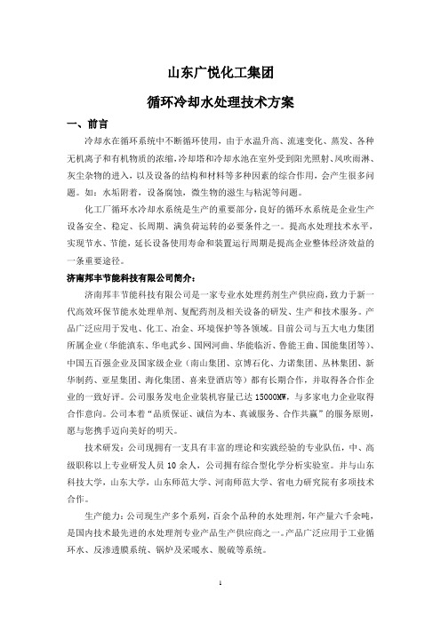 广悦集团循环水方案