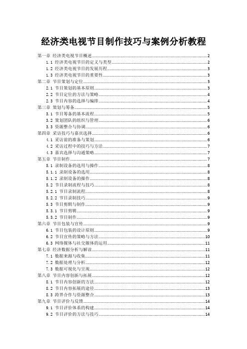 经济类电视节目制作技巧与案例分析教程