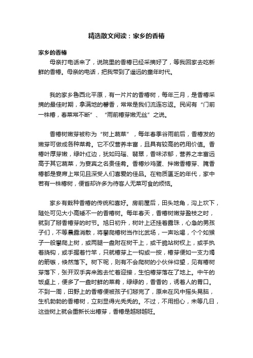 精选散文阅读：家乡的香椿