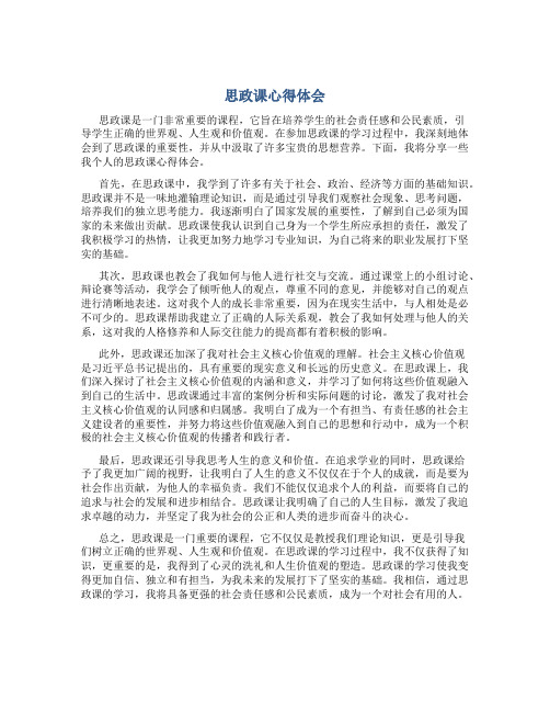 思政课心得体会一千字