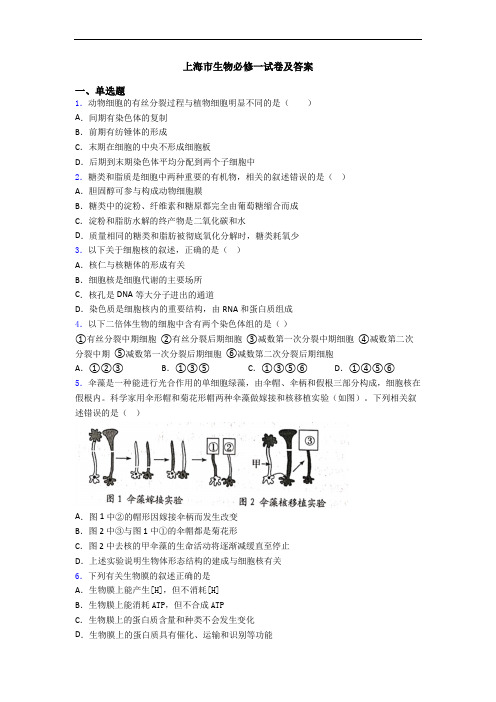 上海市生物必修一试卷及答案