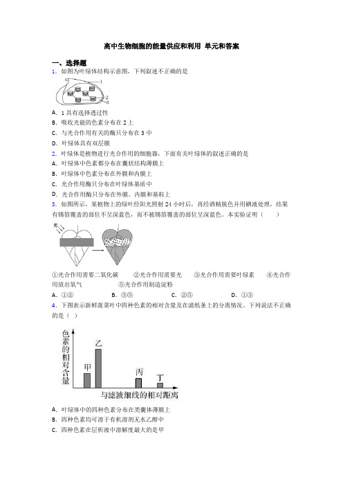 高中生物细胞的能量供应和利用 单元和答案