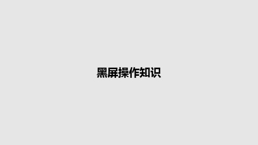 黑屏操作知识PPT教案