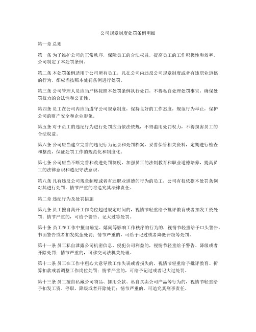 公司规章制度处罚条例明细