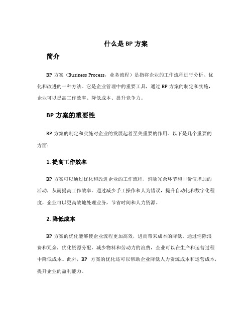 什么是bp方案