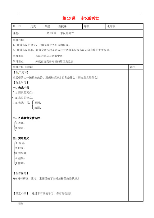 2020七年级历史上册 第13课 东汉的兴亡学案(无答案) 新人教版