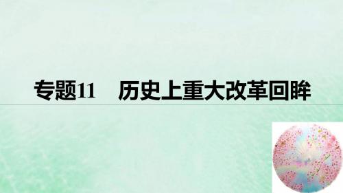 (全国版)2019高考历史总复习板块四选考部分专题11历史上重大改革回眸课件