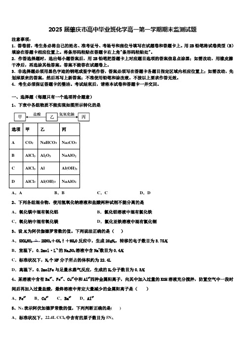 2025届肇庆市高中毕业班化学高一第一学期期末监测试题含解析