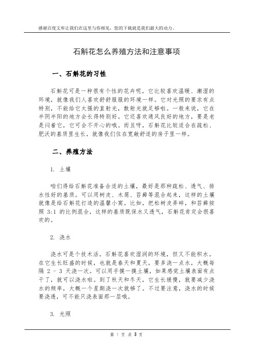 石斛花怎么养殖方法和注意事项