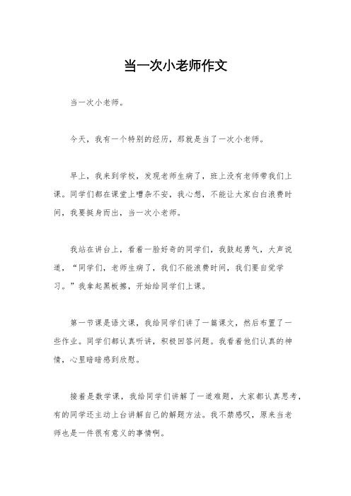 当一次小老师作文