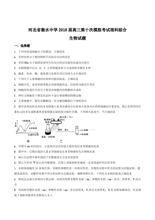 【全国百强校】河北省衡水中学2018届高三第十次模拟考试理科综合生物试题(原卷版)