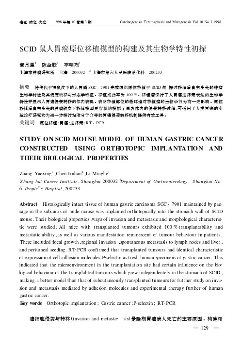 SCID鼠人胃癌原位移植模型的构建及其生物学特性初探