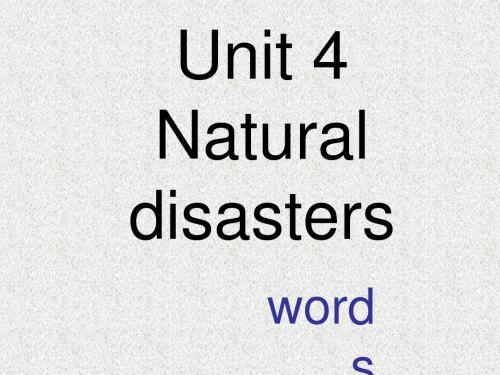 牛津深圳版英语九下Unit 4《Natural disasters》(words)ppt课件