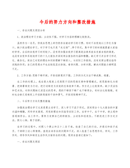 今后的努力方向和整改措施