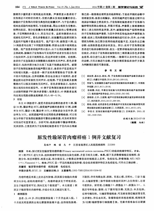 原发性输尿管肉瘤样癌1例并文献复习
