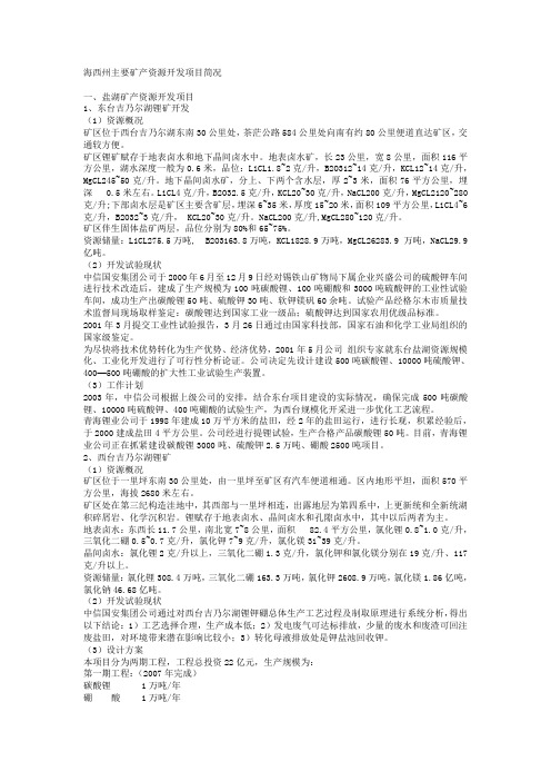 海西州主要矿产资源开发项目简况