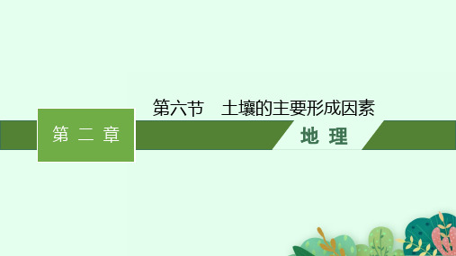 中图版高中地理必修第一册精品课件 第2章 自然地理要素及现象 第六节 土壤的主要形成因素