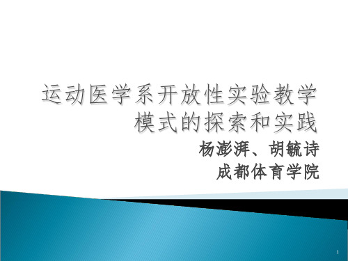 杨澎湃北京大会报告PPT精选文档