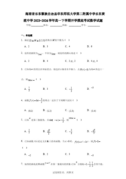 海南省乐东黎族自治县华东师范大学第二附属中学乐东黄流中学2023-2024学年高一下学期开学摸底考试