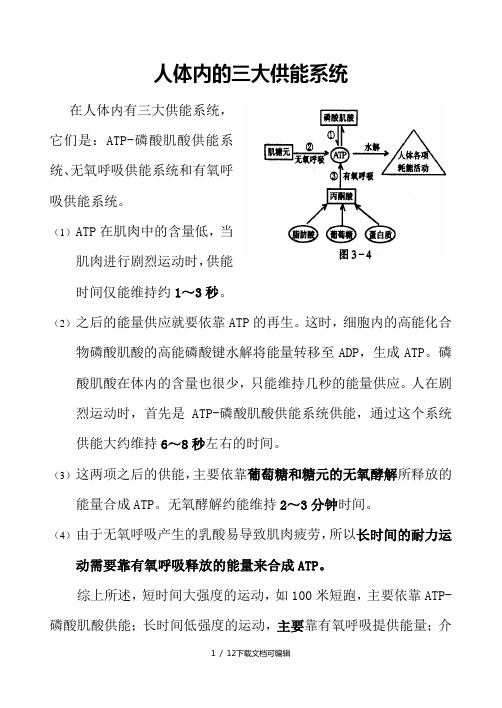 人体三大功能系统