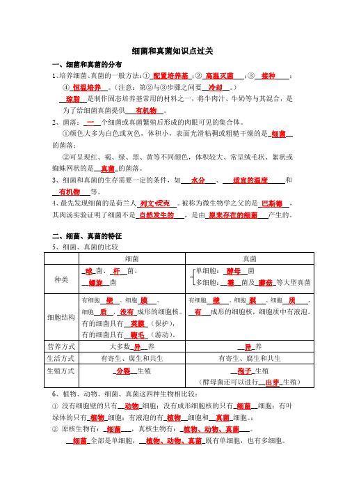 细菌和真菌答案