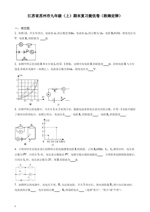 江苏省苏州市九年级上册期末复习提优卷(欧姆定律)(有答案)【最新】.doc