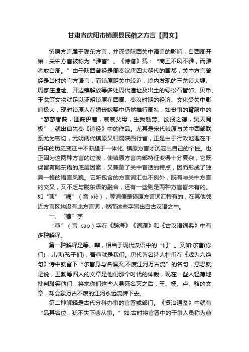 甘肃省庆阳市镇原县民俗之方言【图文】