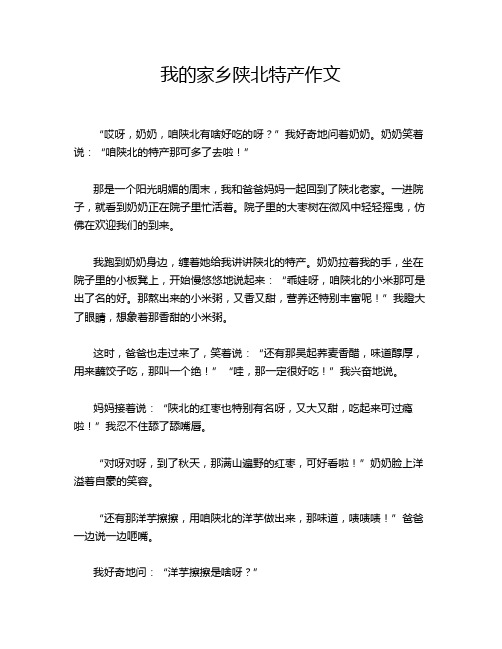 我的家乡陕北特产作文