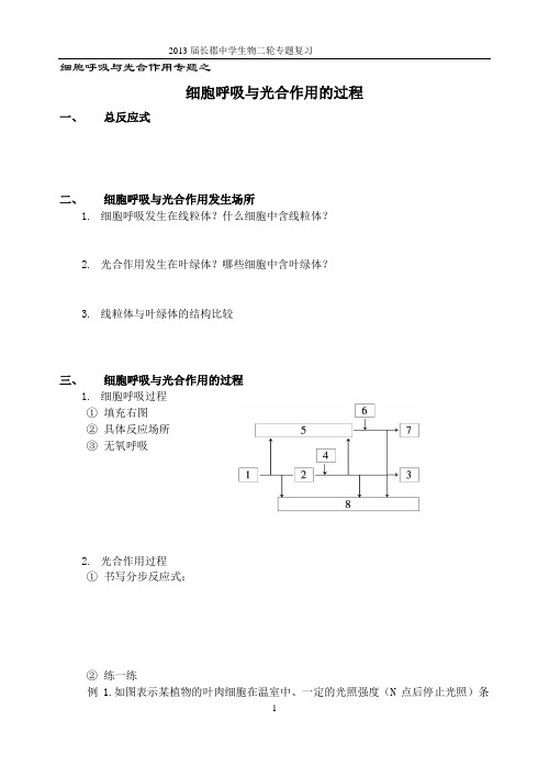 细胞呼吸与光合作用的过程