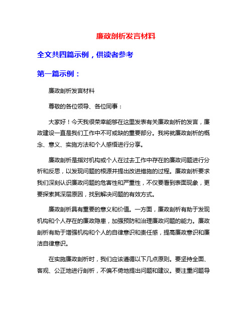 廉政剖析发言材料