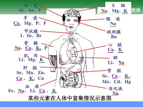 课题2  化学元素与人体健康