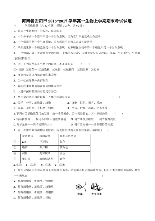 河南省安阳市高一生物上学期期末考试试题(有答案)-优质试卷