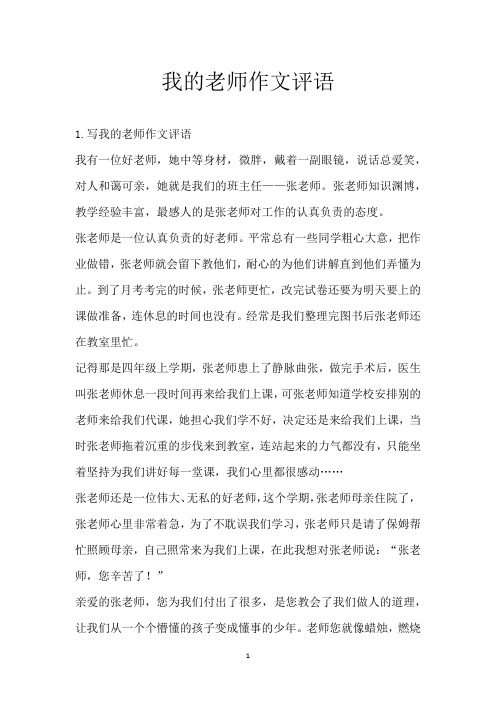 我的老师作文评语