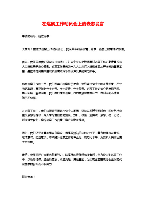 在巡察工作动员会上的表态发言