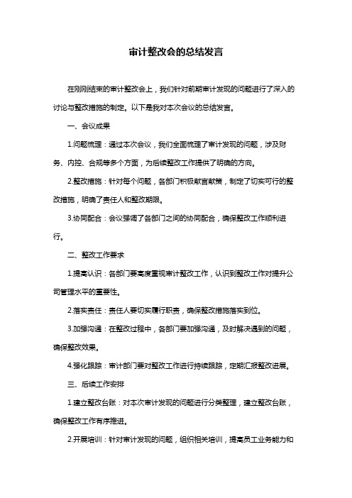 审计整改会的总结发言