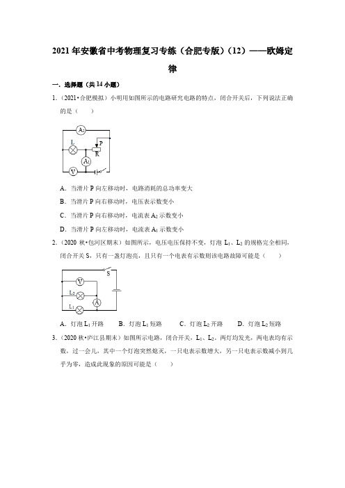 2021年安徽省中考物理复习专练(合肥专版)(12)——欧姆定律