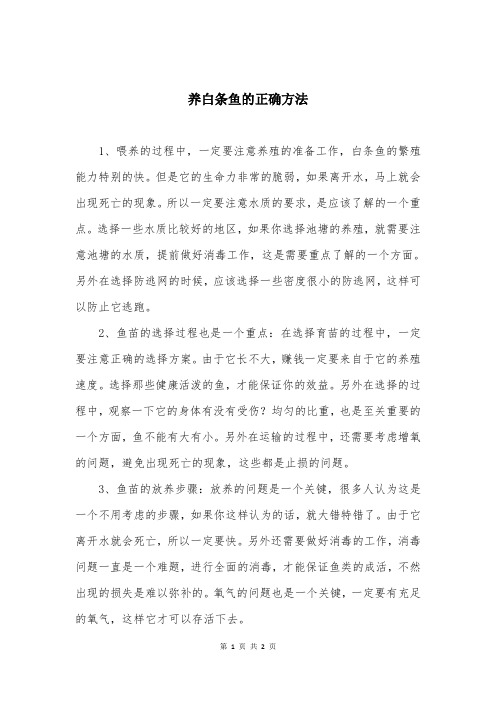 养白条鱼的正确方法