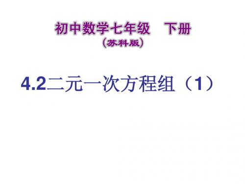 4.2 二元一次方程组 课件(1) (苏科版七年级下)