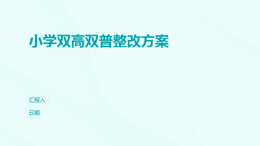 小学双高双普整改方案