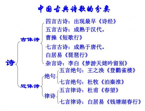北师大六年级上册语文PPT6.1 《十五从军征》2