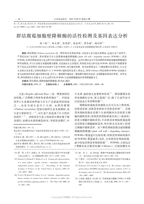 群结腐霉细胞壁降解酶的活性检测及基因表达分析