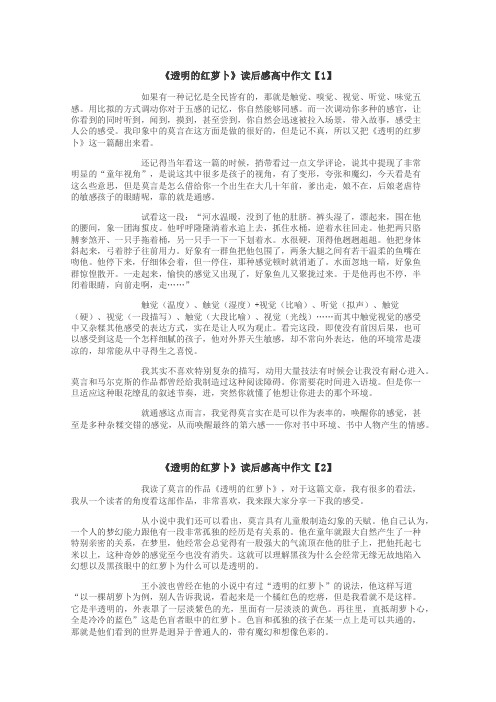 透明的红萝卜读后感高中作文
