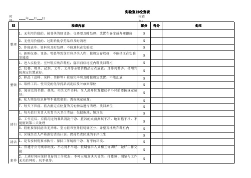 5S检查表