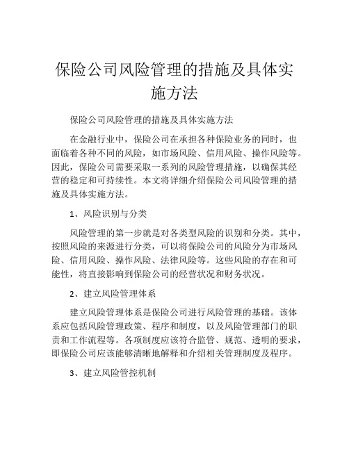 保险公司风险管理的措施及具体实施方法