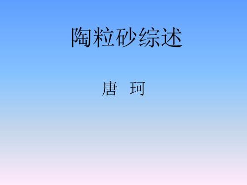 陶粒综述