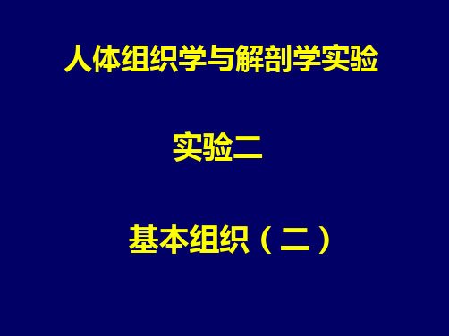 人体组织解剖学生理实验实验二