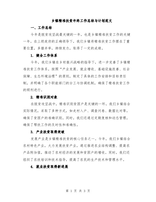 乡镇精准扶贫年终工作总结与计划范文